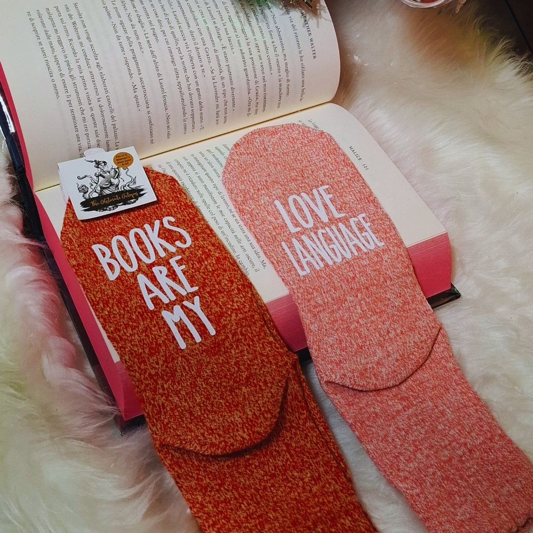 Libricina Shop | Calzini per book lovers