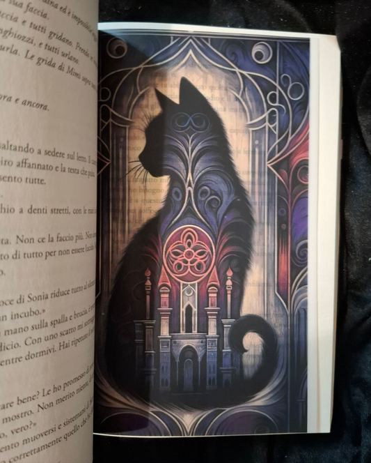 Libricina Shop | Set Overlays Dark Academia