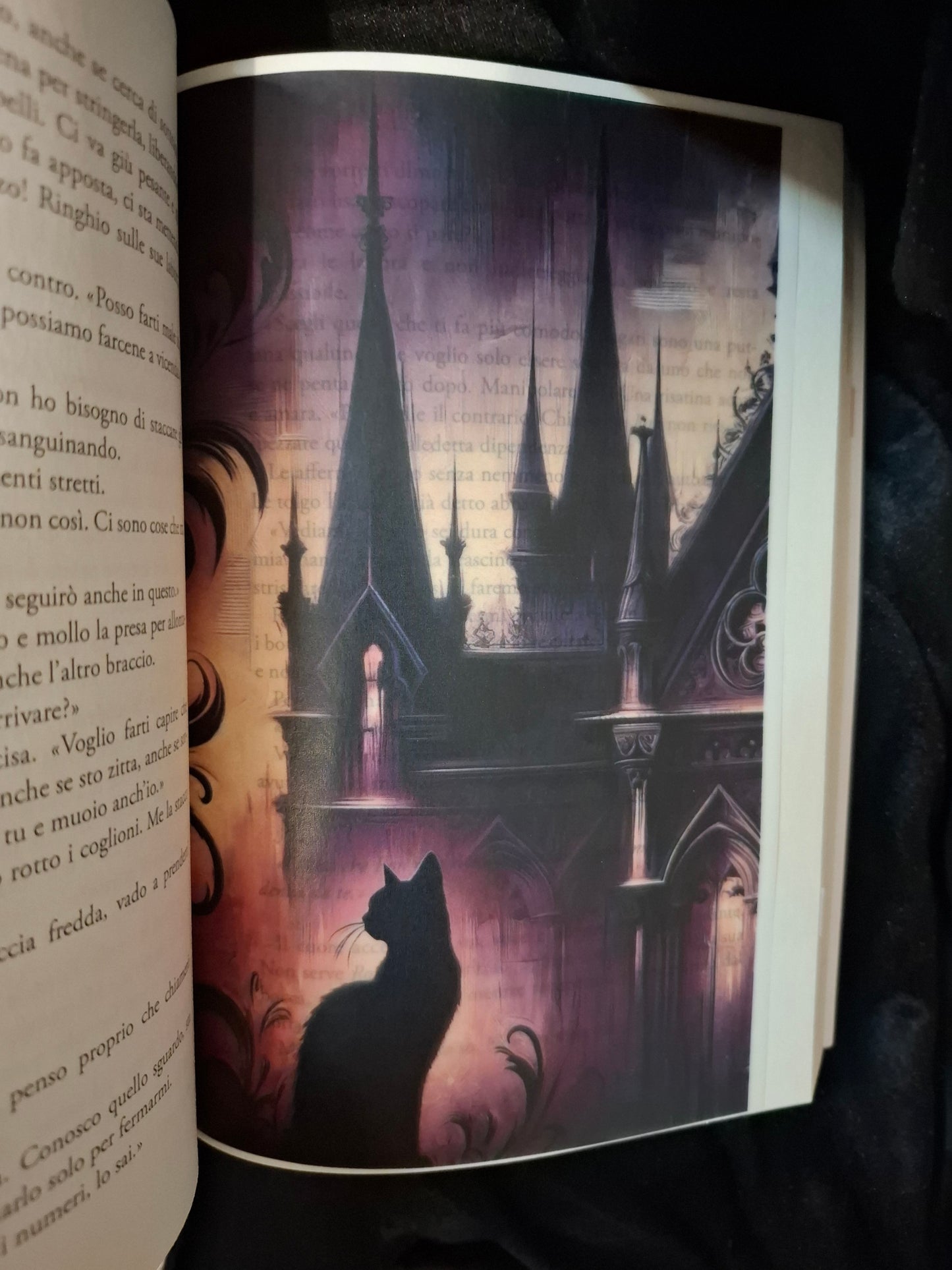 Libricina Shop | Set Overlays Dark Academia